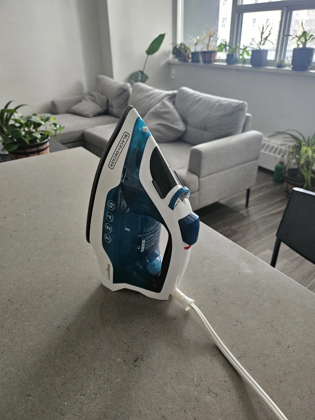 Black and Decker Steam Iron - photo 2