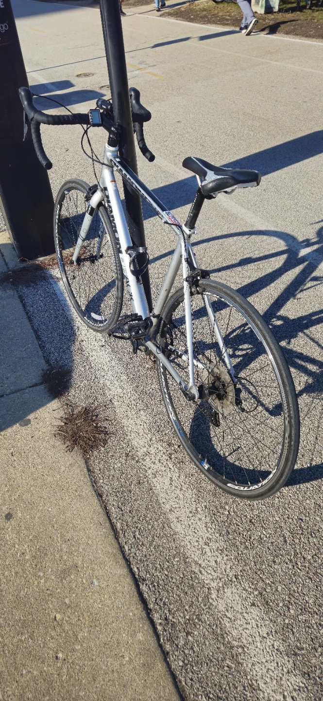 Diamondback Road Bike 52 cm - photo 2