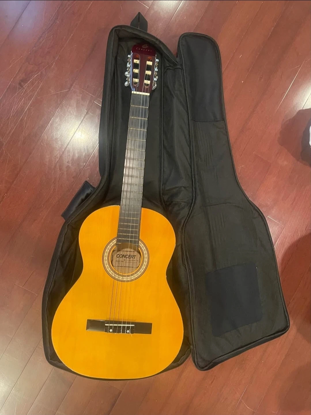 Guitar