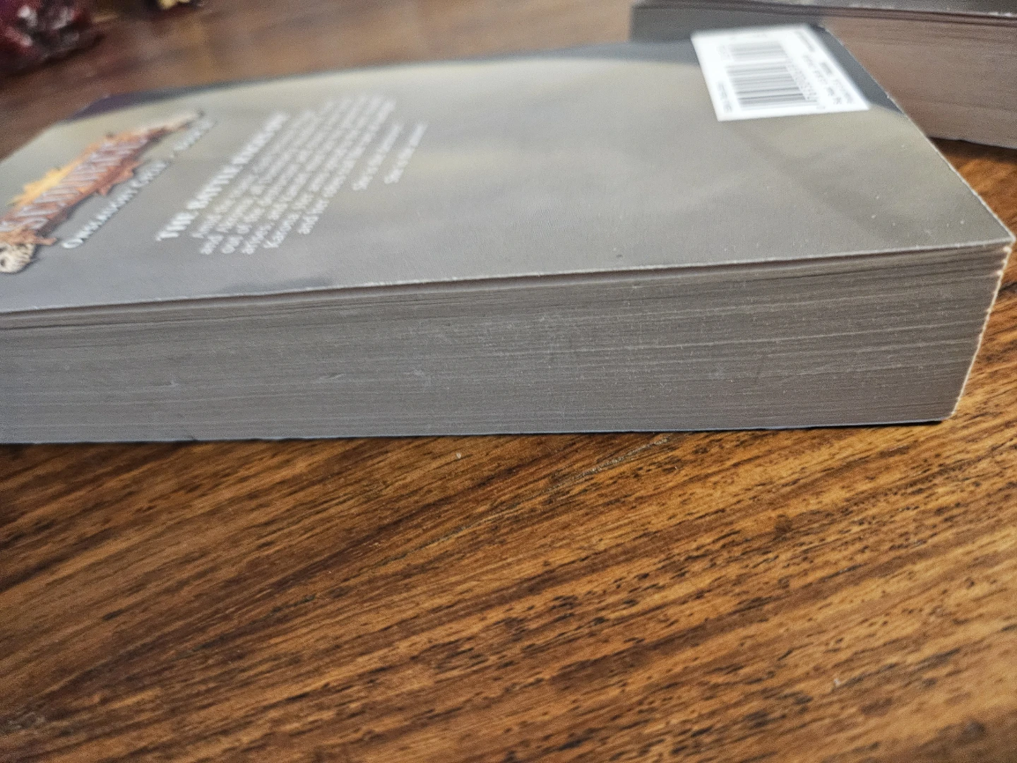 MTG:Magic The Gathering Scourge Book III by J. Robert King - photo 3