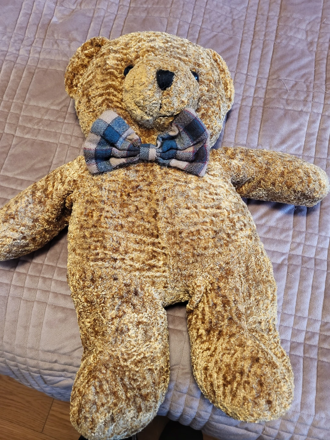 Golden Teddy Bear with Plaid Bowtie