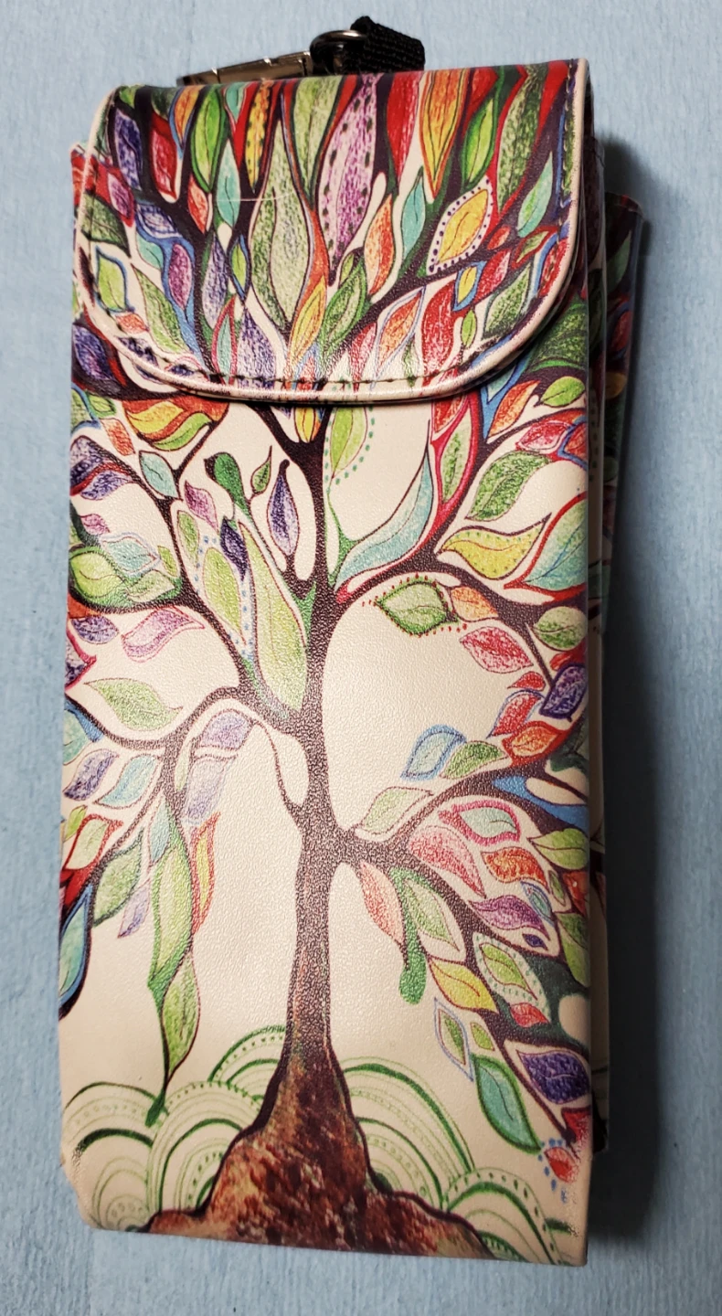 Colourful Design Duel Eyeglass Case + FREE anti-fog wipes!