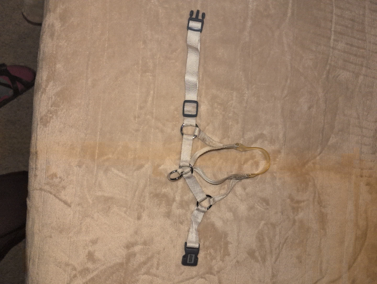Dog Harness - photo 2