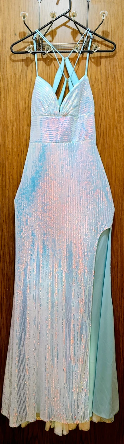Sequin Maxi Dress - Mint Opal - Size 4 (cash only)