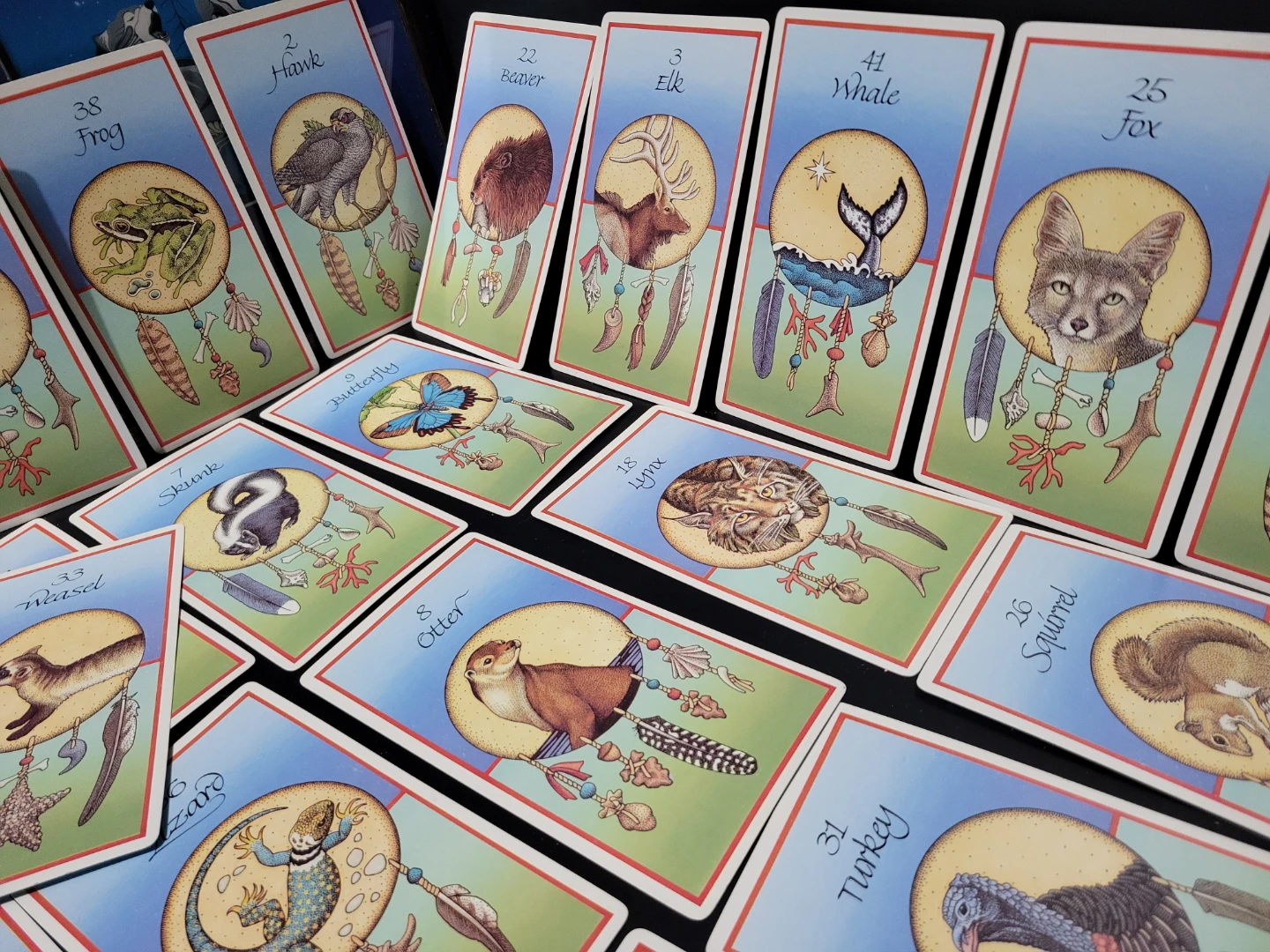 ​Vintage Medicine Cards Oracle Deck by Jamie Sams & David Carson - photo 4
