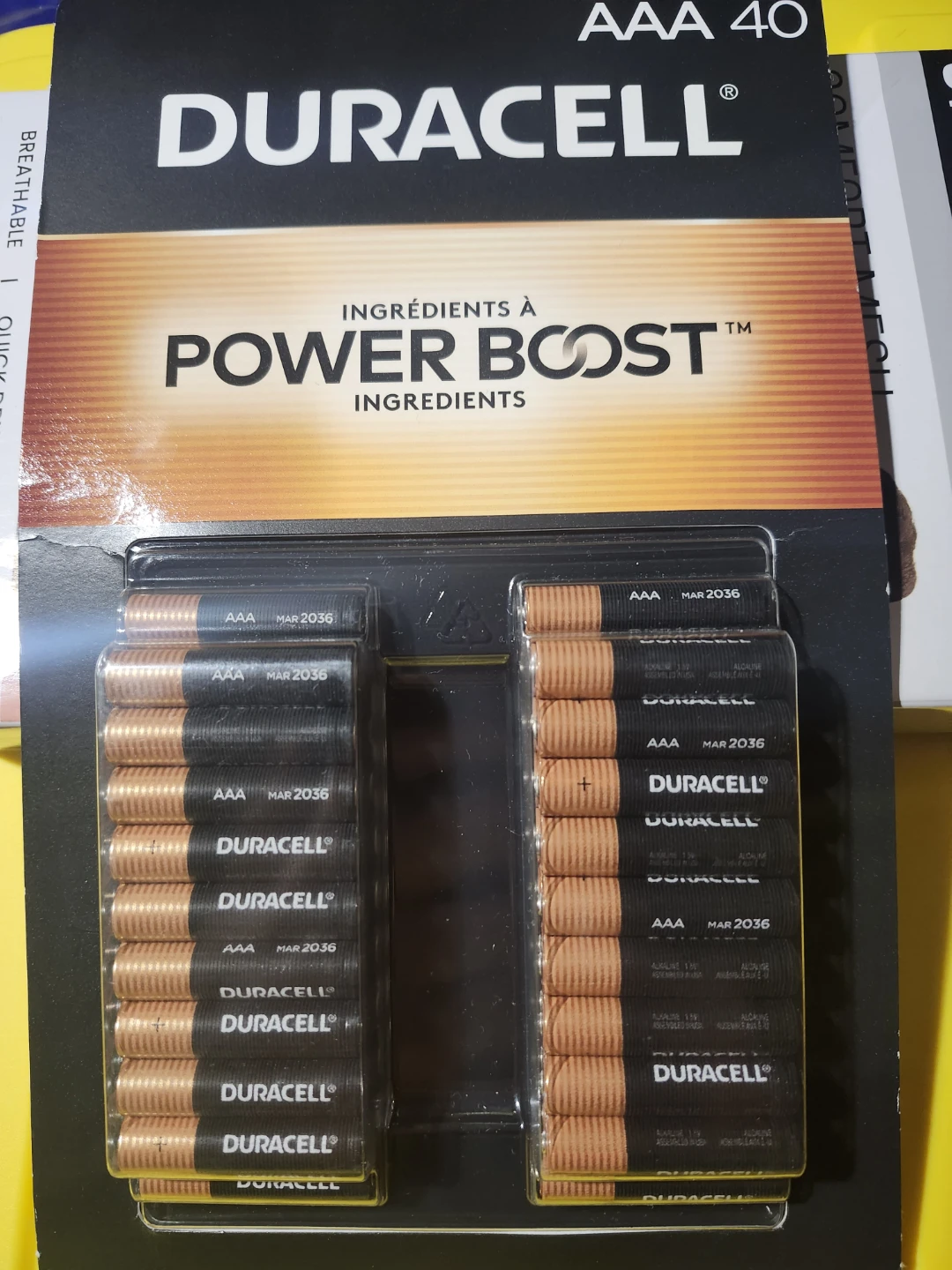 Duracell AAA Batteries - 40 Pack