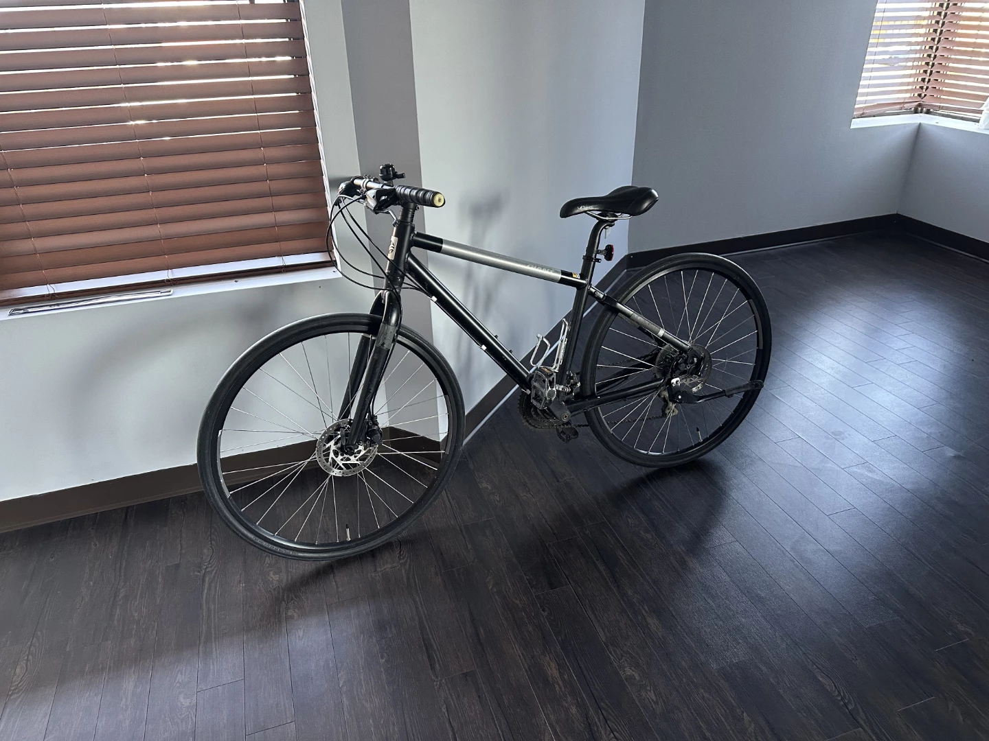 Giant Seek 2 Hybrid Bike