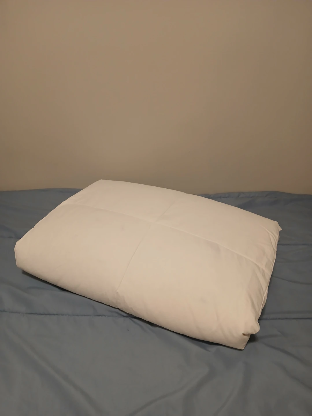 Double/Full Down Duvet Insert