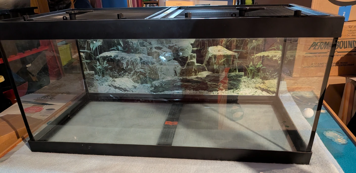 Terrarium with Lamps and Bearded Dragon Book
