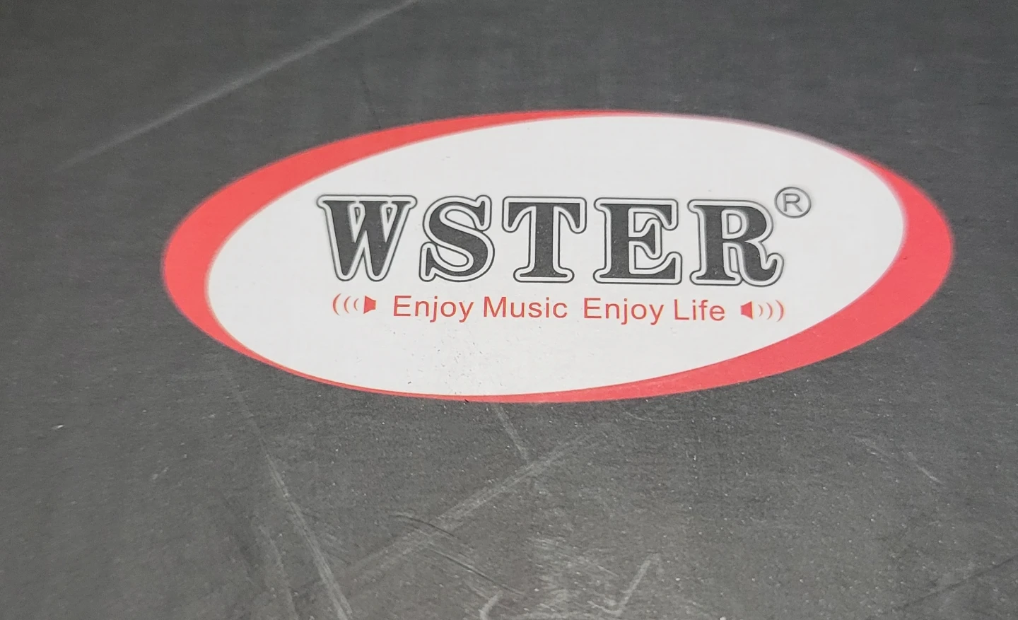 WSTER WS-1934 Music Car Speaker - photo 5