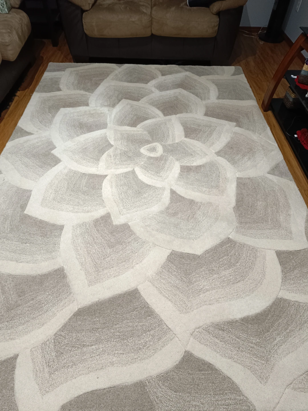 Pier 1 Import wool area rug