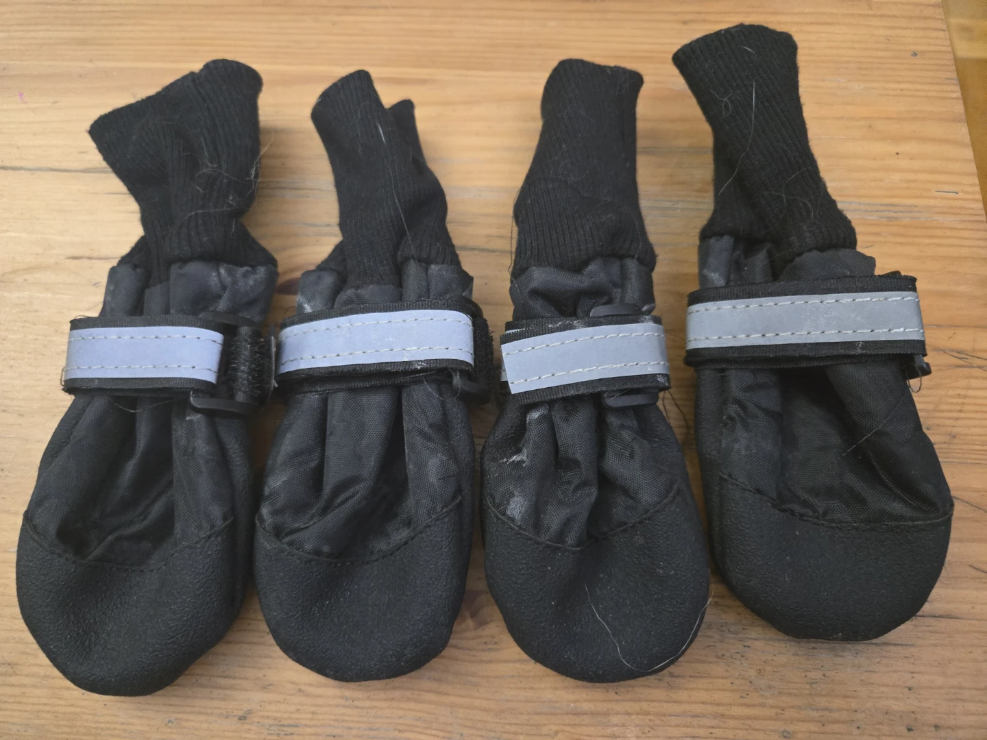 Dog shoes boots