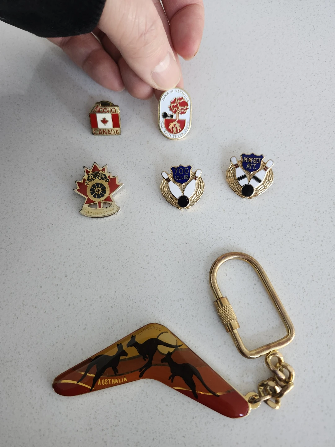 Collection of Pins and Keychain
