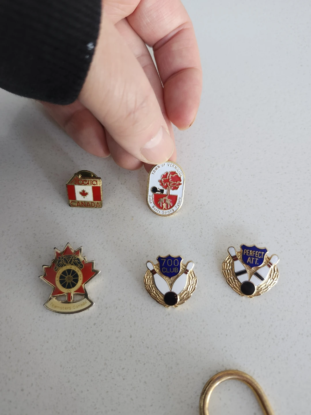 Collection of Pins and Keychain - photo 2
