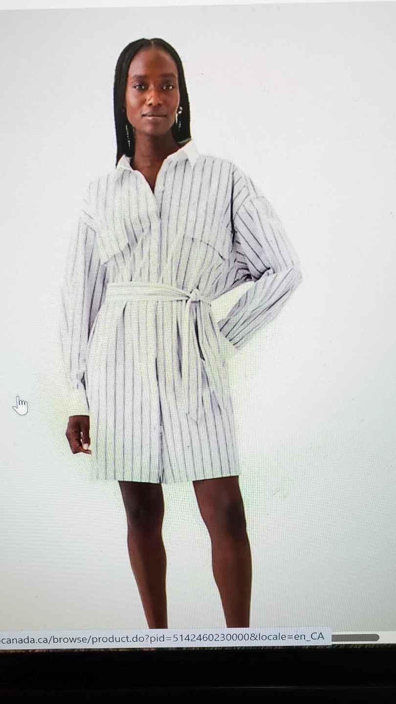 Striped Shirt Dress with Belt