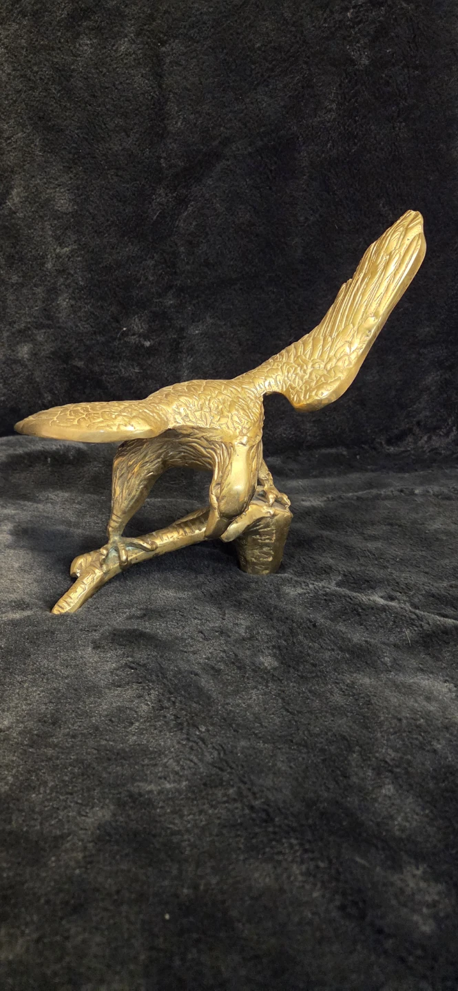 Brass eagle 🧡