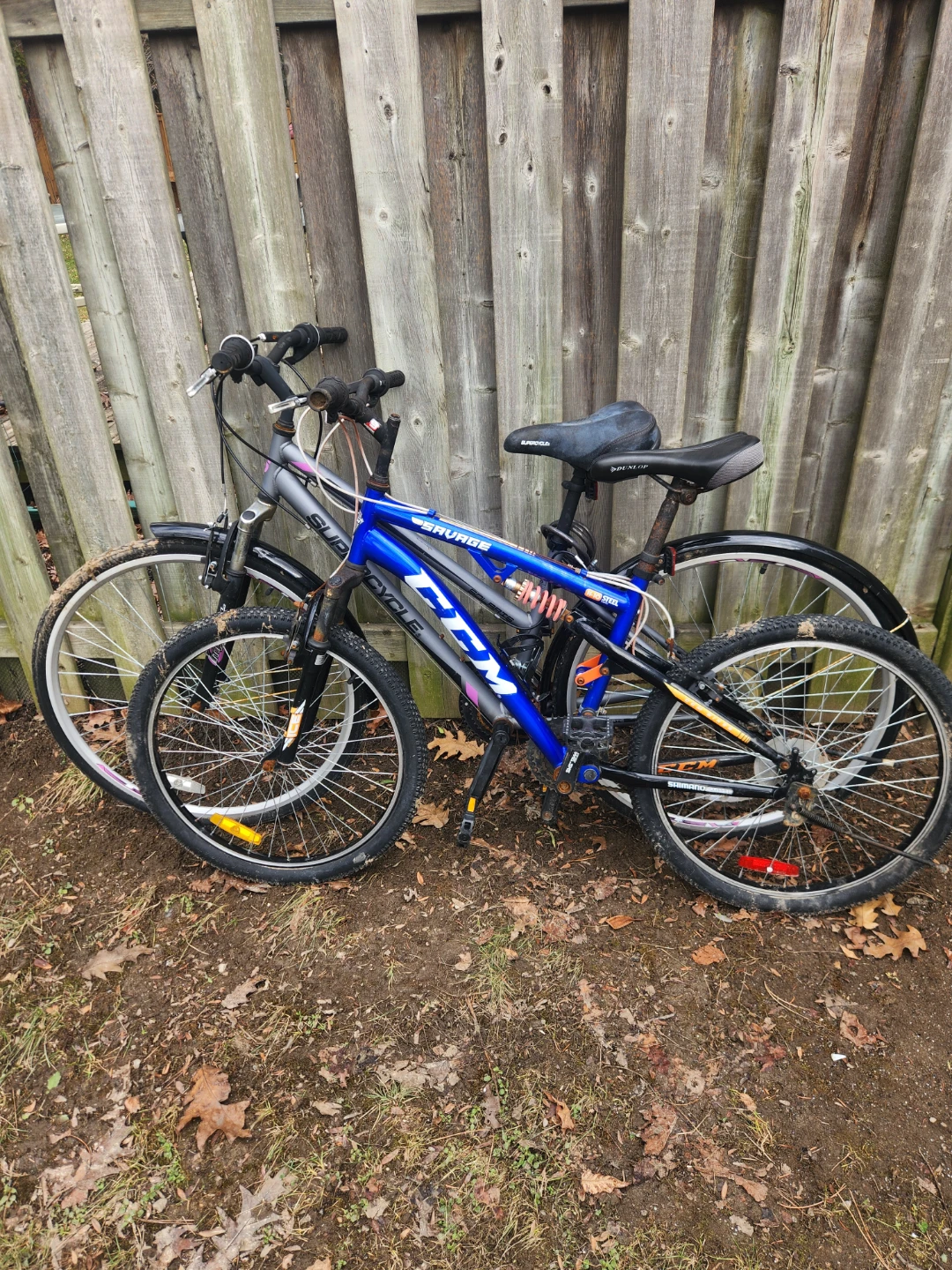 Bicycle 2