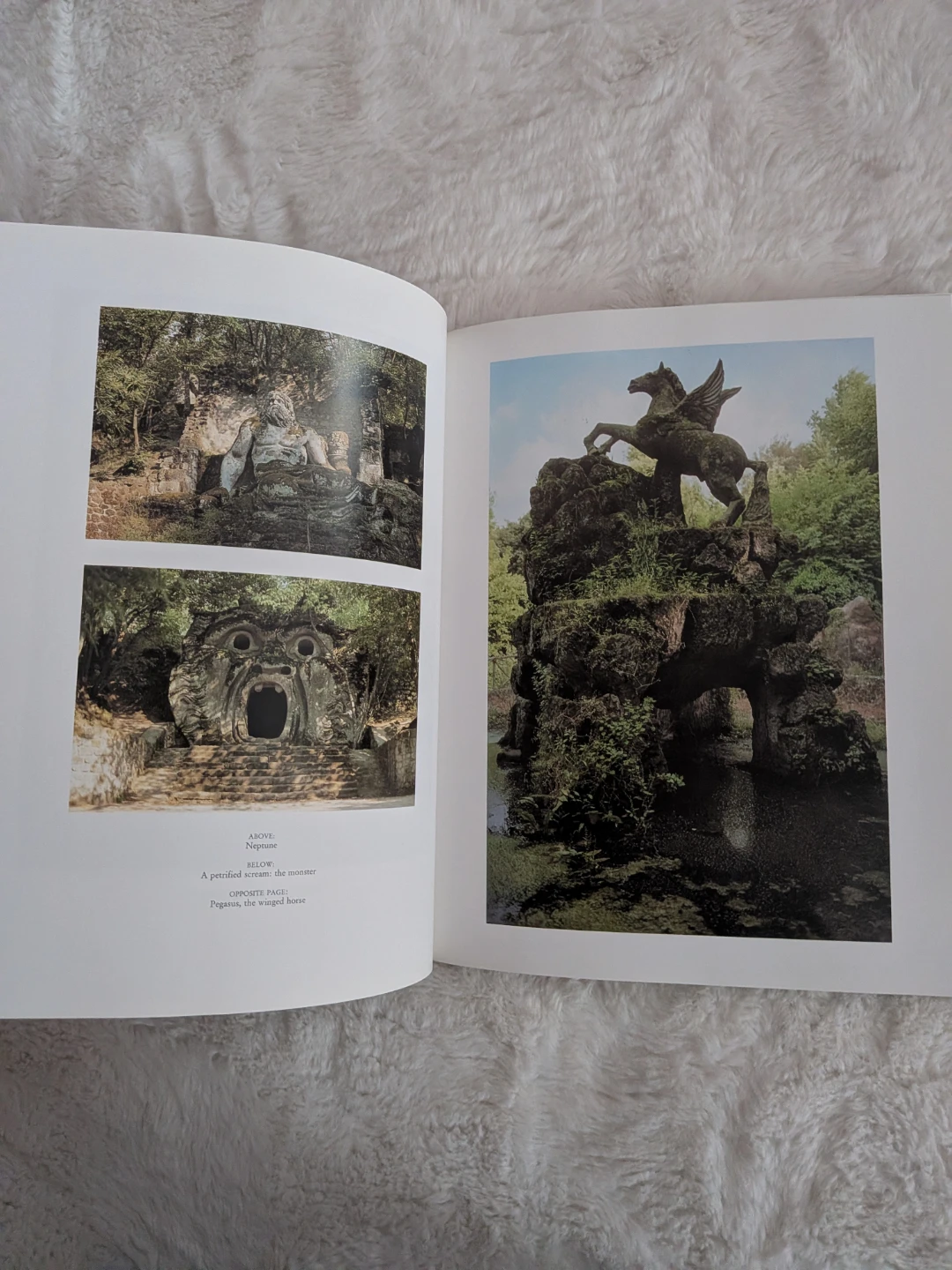 Garden Architecture in Europe Book by Taschen - photo 4
