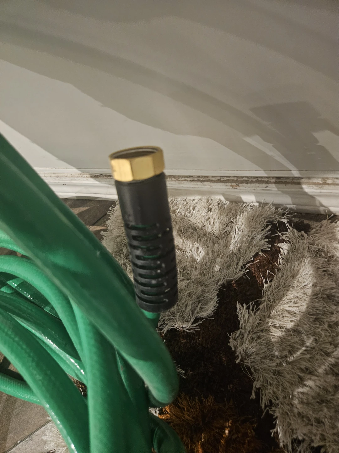 Green Garden Hose