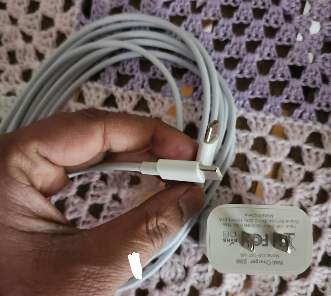 20W USB-C Wall Charger and Long Cable