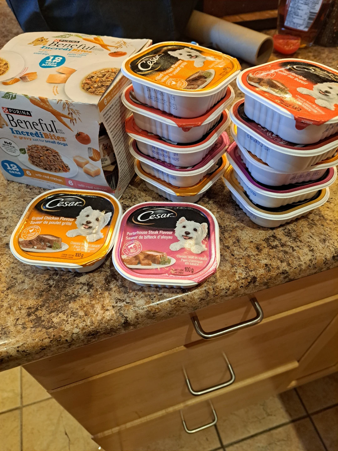 Purina Beneful & Cesar Dog Food Variety Pack