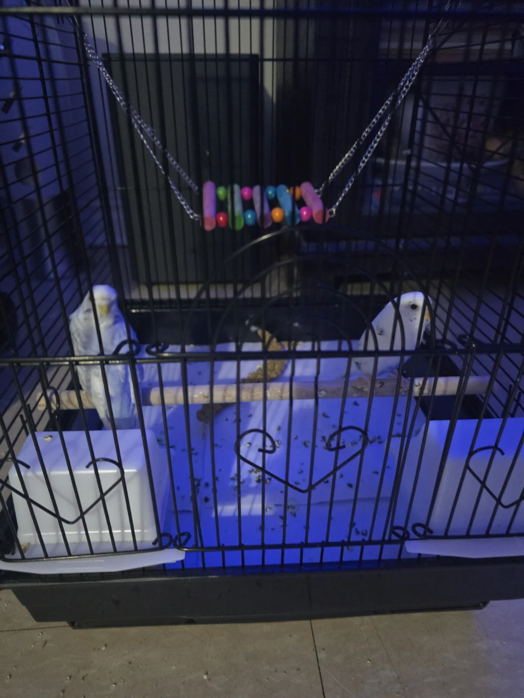 Bird Cage with Toys and Perches - photo 2