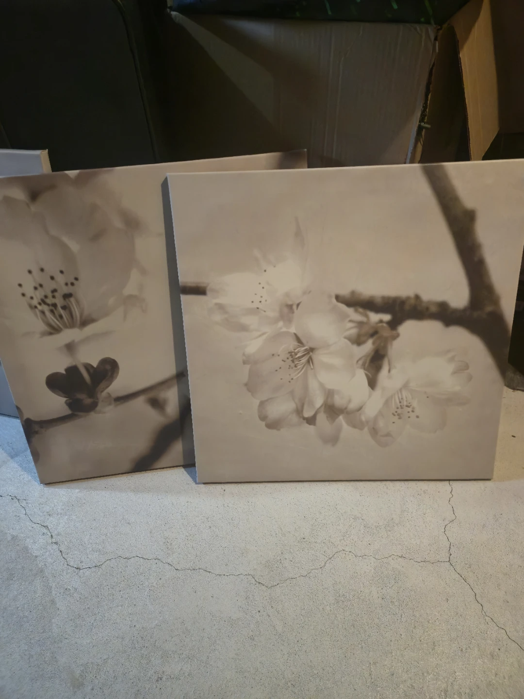 6 pieces of Floral Wall Art Set – Neutral Tones FOR SALE - photo 2