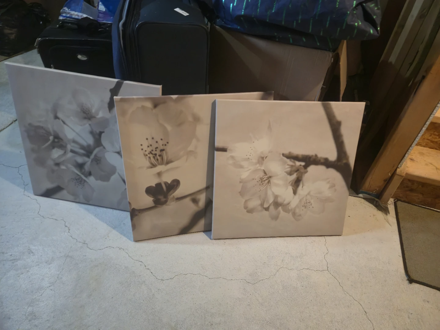 6 pieces of Floral Wall Art Set – Neutral Tones FOR SALE - photo 5