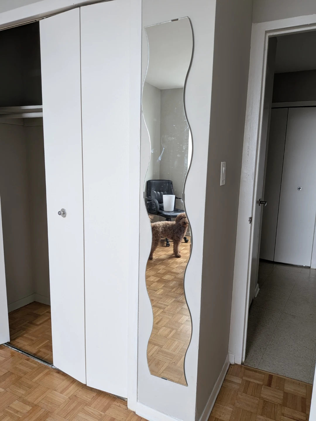 Decorative Wavy Wall Mirror