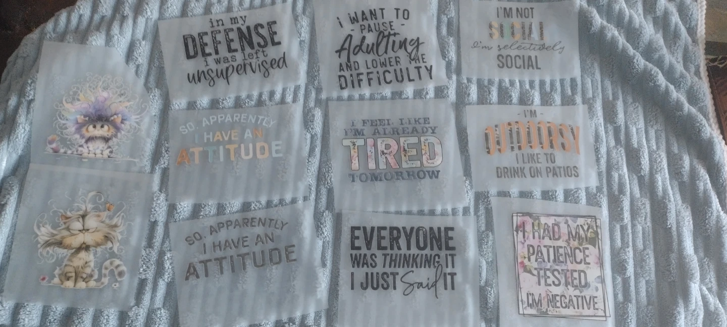 Heat Transfer Vinyl Appliques - Funny Cat & Quote Designs - photo 2