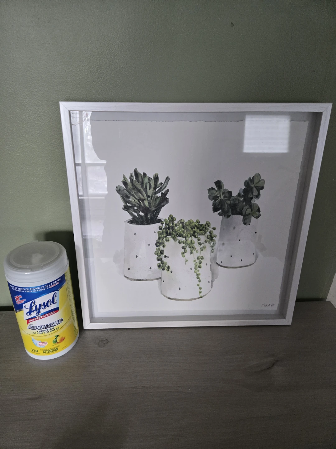Framed Artwork of Succulents in Pots