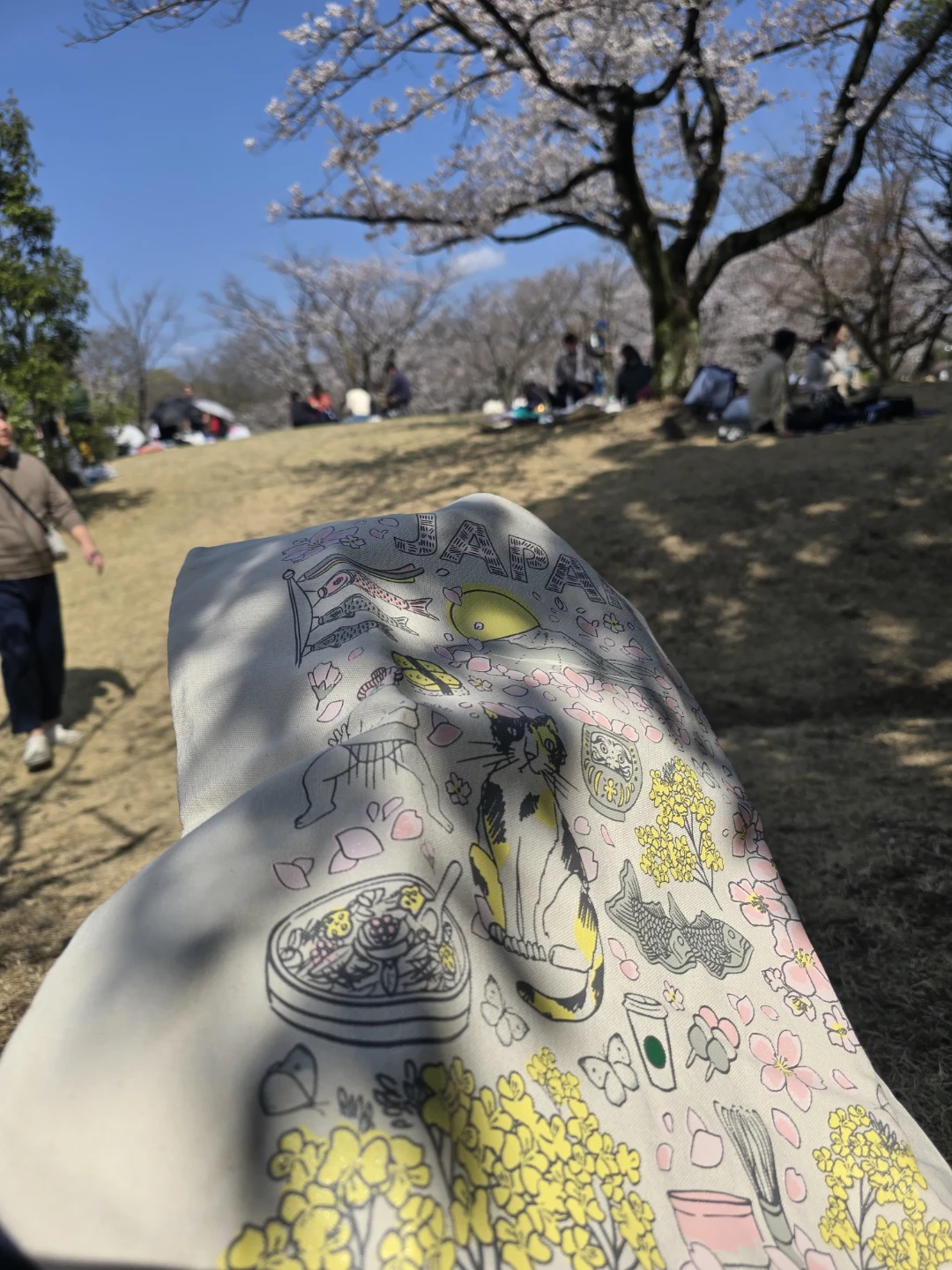 Starbucks Spring Japan Tote Bag 2026 - photo 3