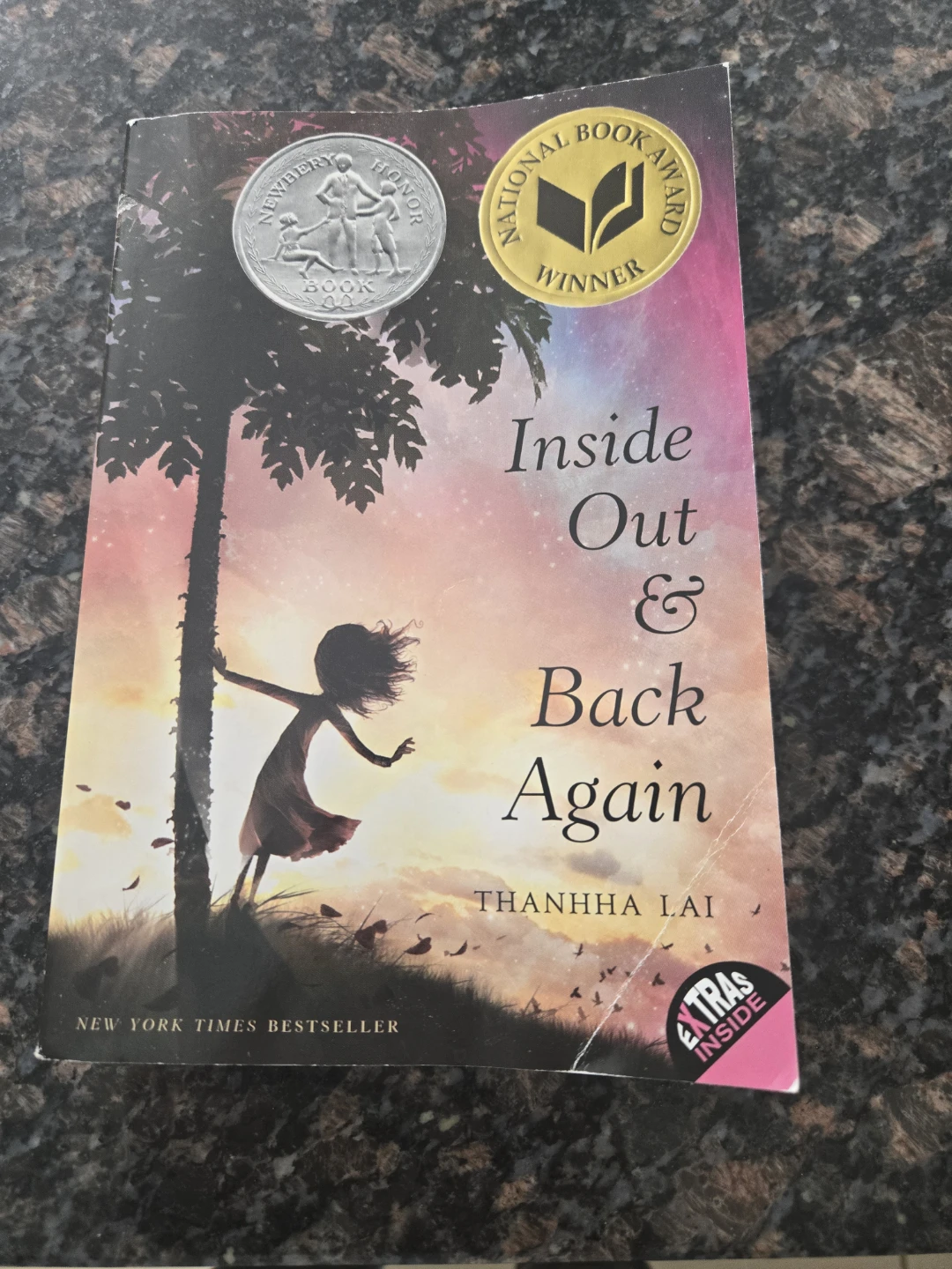 Inside Out & Back Again by Thanhhha Lai