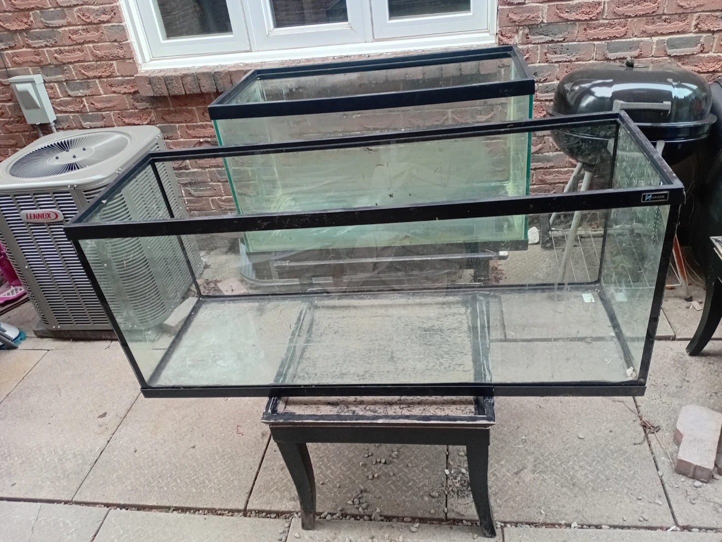 Large Glass Aquarium Tank - photo 5