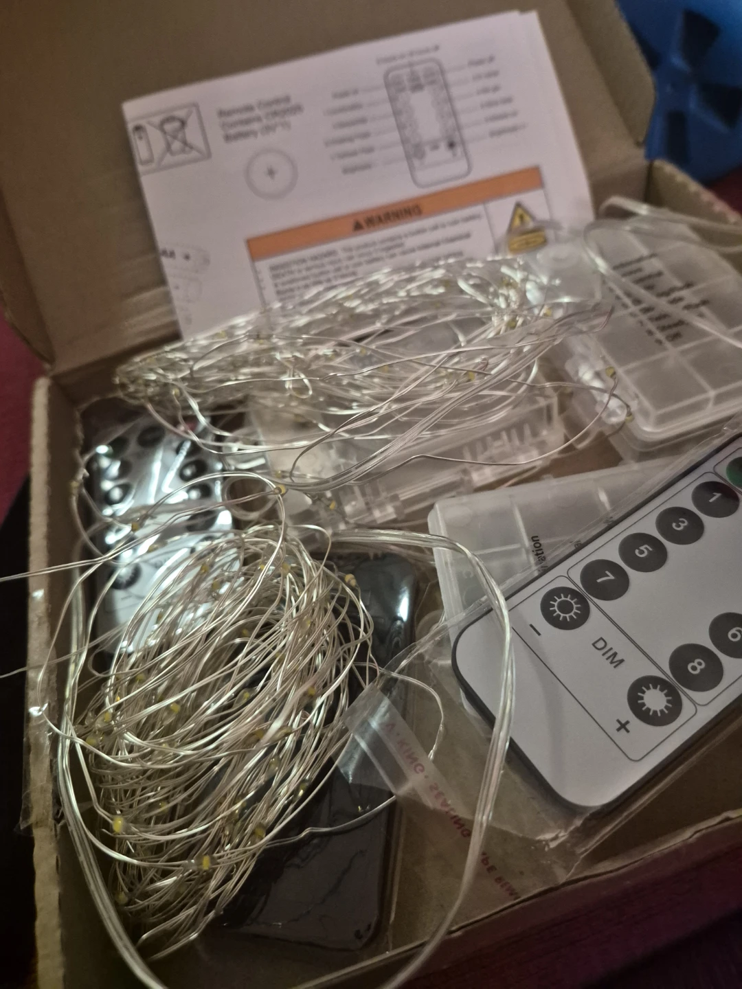LED Fairy String Lights with Remote