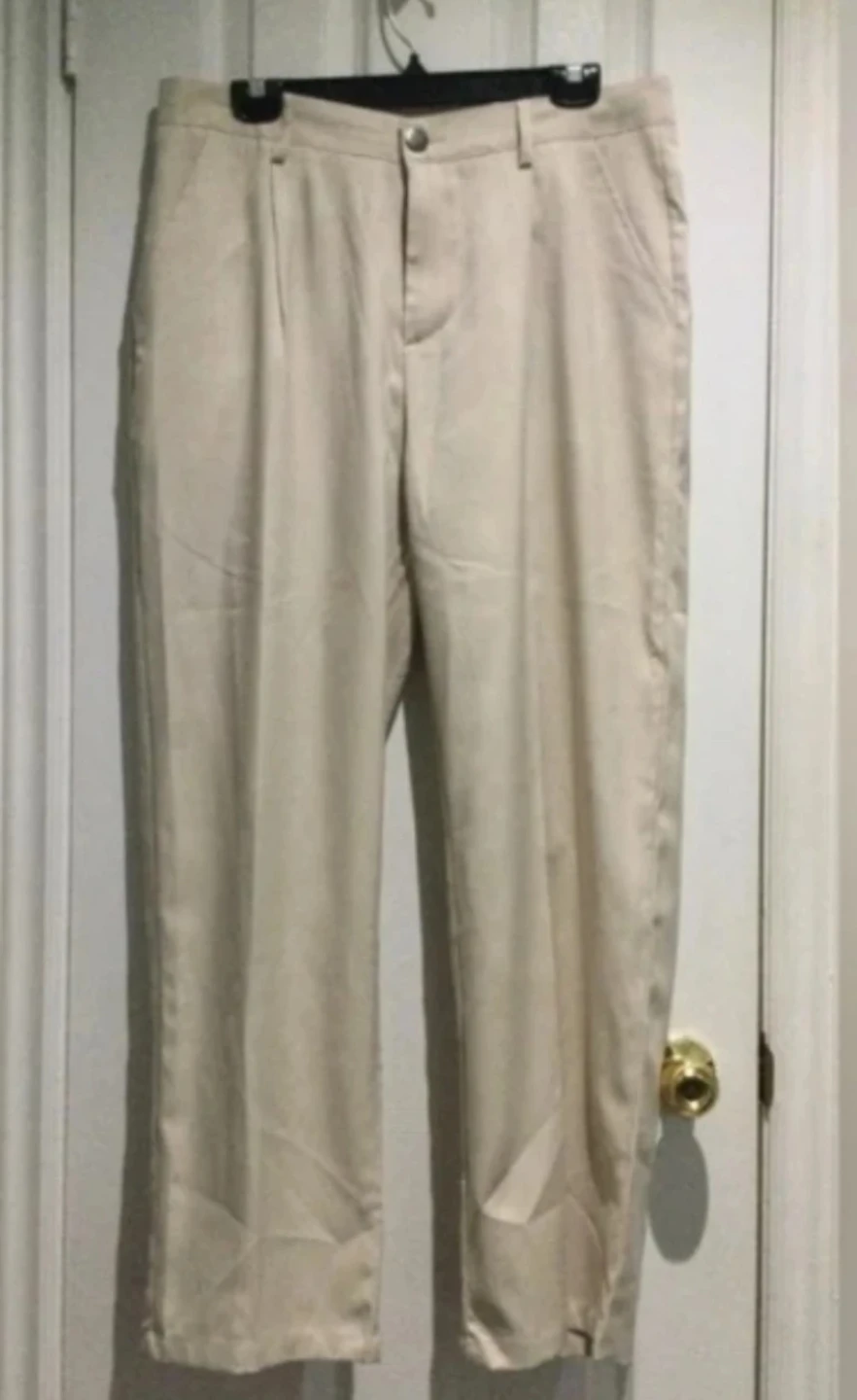 Brand New  Men's Beige Pleated Dress Pants - photo 2