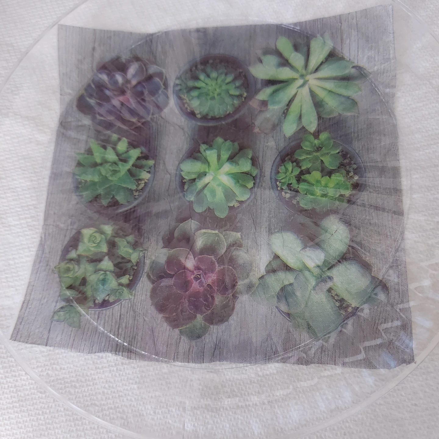 Set of 6 decorative plastic plates - photo 5