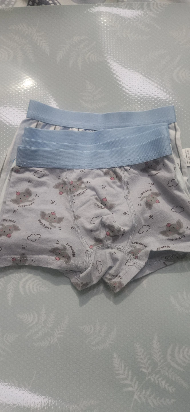 Kids' Elephant Print Boxer Briefs (1 Pack)