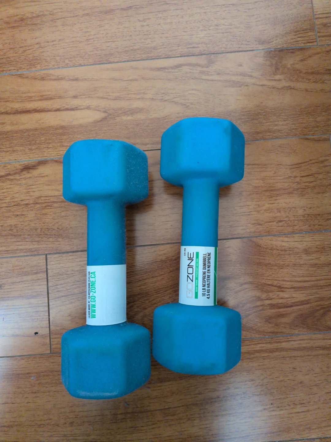 10 LB Dumbbell up for grabs