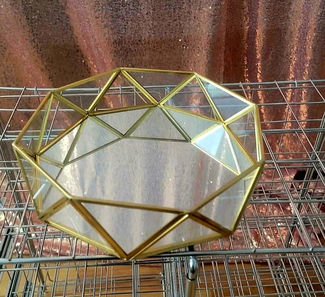 Geometric Terrarium Display Dish