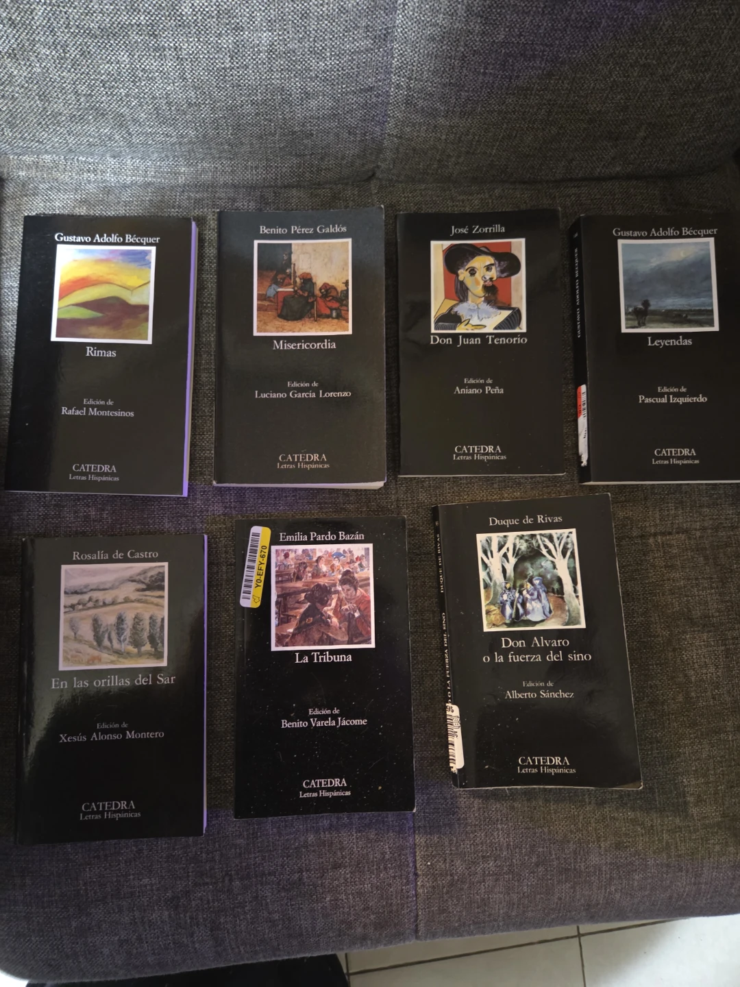 Collection of Spanish Literature Books