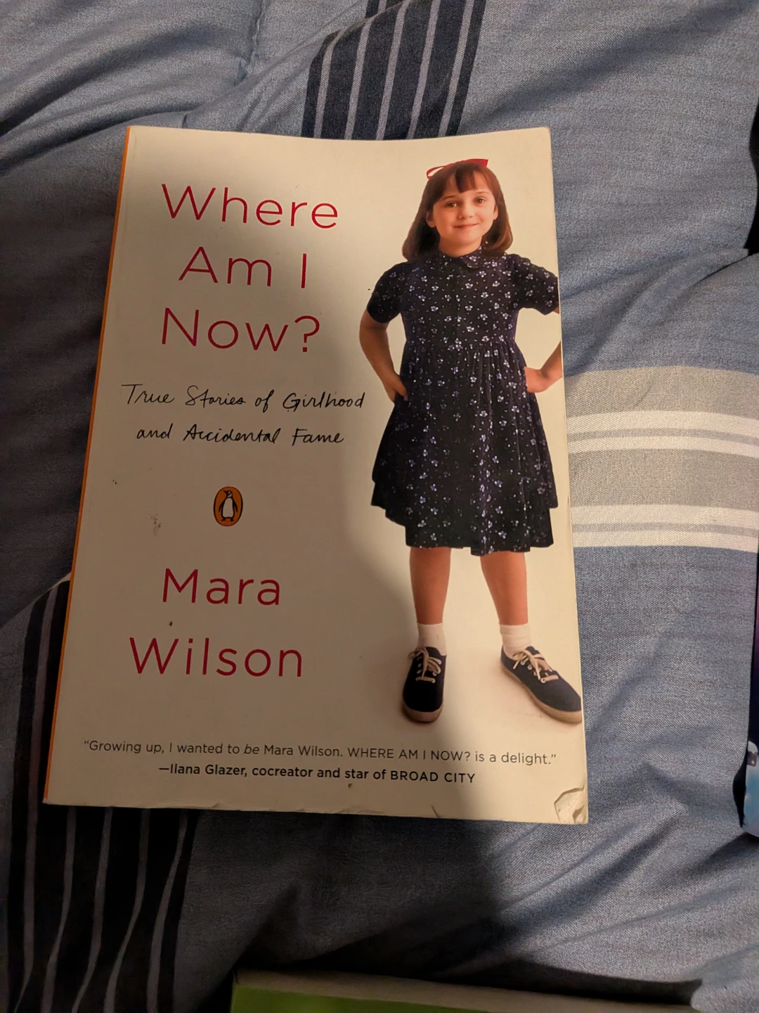 Collection of 7 Young Adult and Adult Books - photo 4