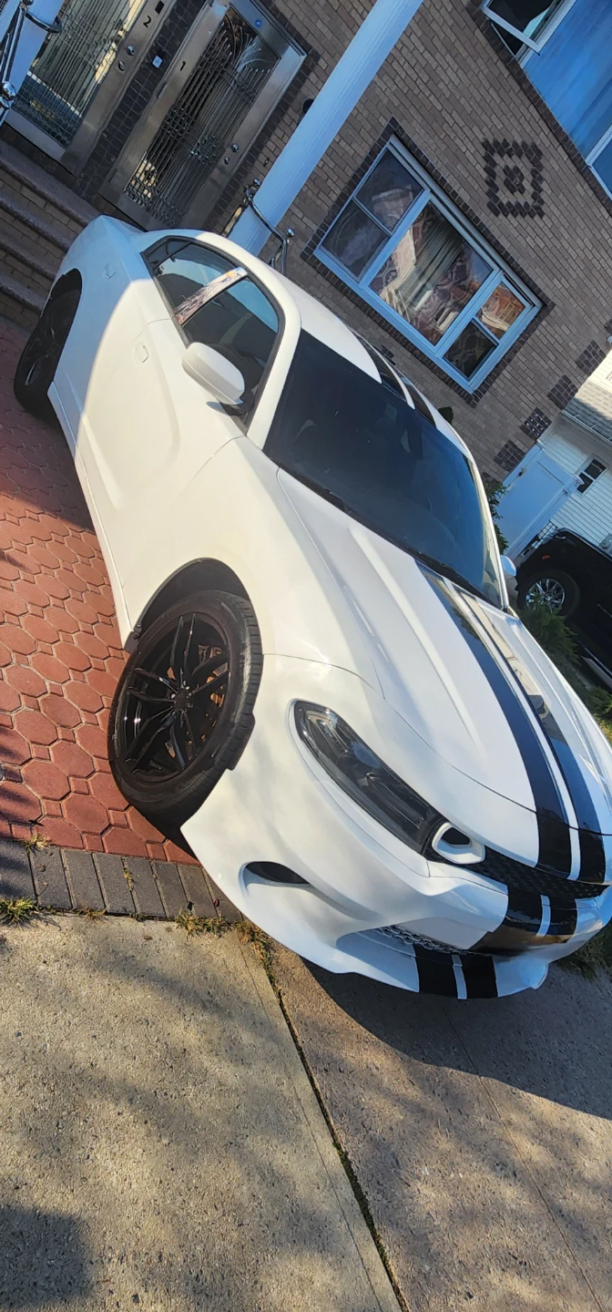 2017 Dodge Charger Pursuit  with Black Racing Stripes - photo 2