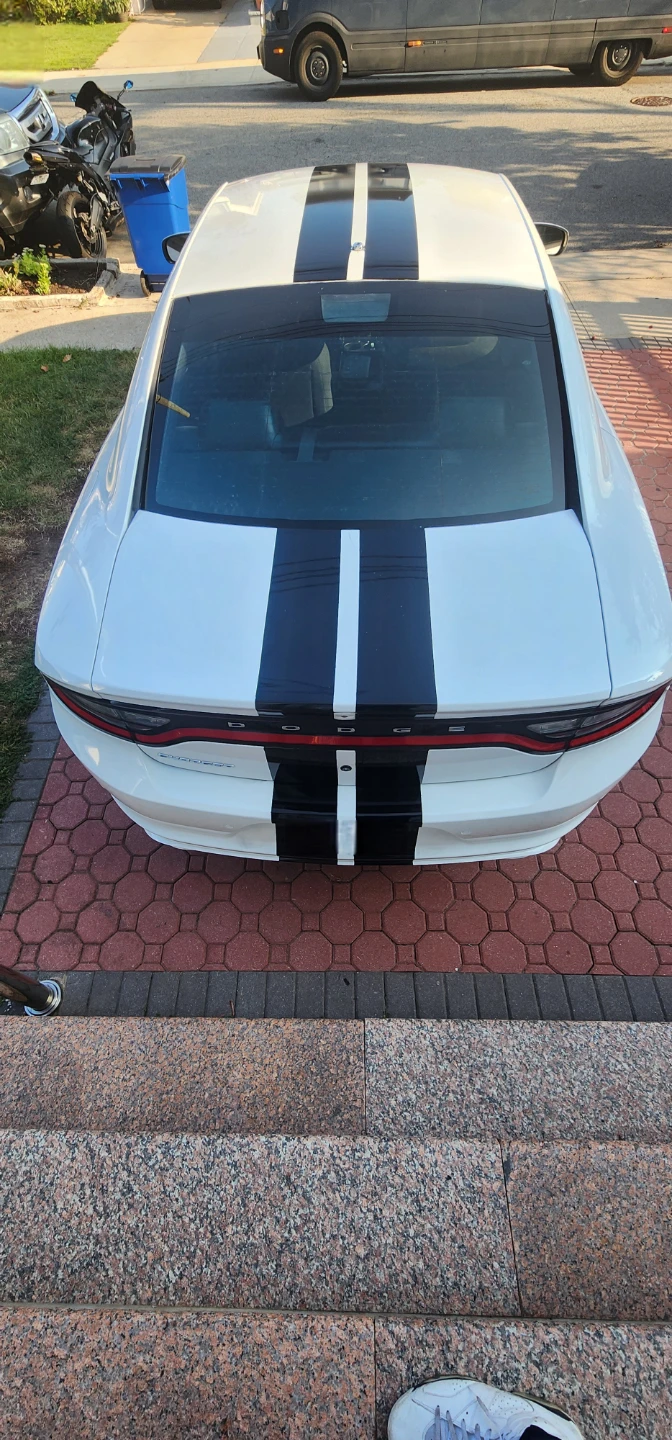 2017 Dodge Charger Pursuit  with Black Racing Stripes - photo 3