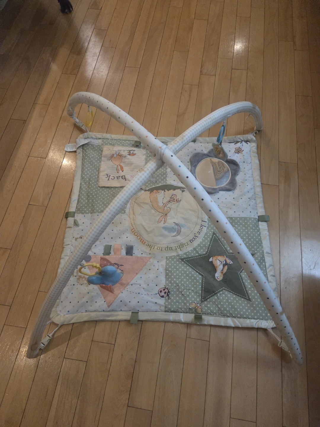 Baby Play Gym Mat
