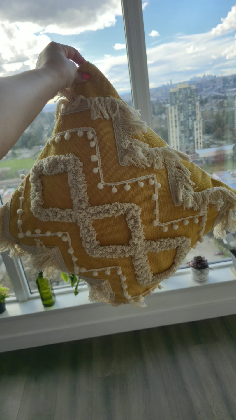 Decorative Throw Pillow $20 each