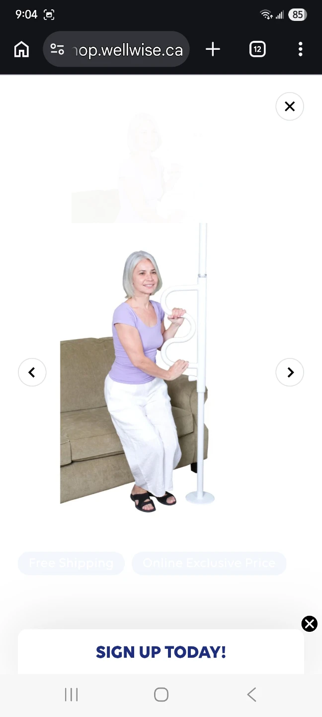 Wellwise Bedside Assist Pole with Handrail - photo 2
