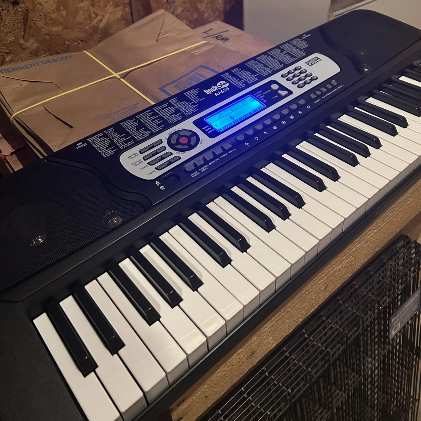 Digital Piano Keyboard - 54 Keys