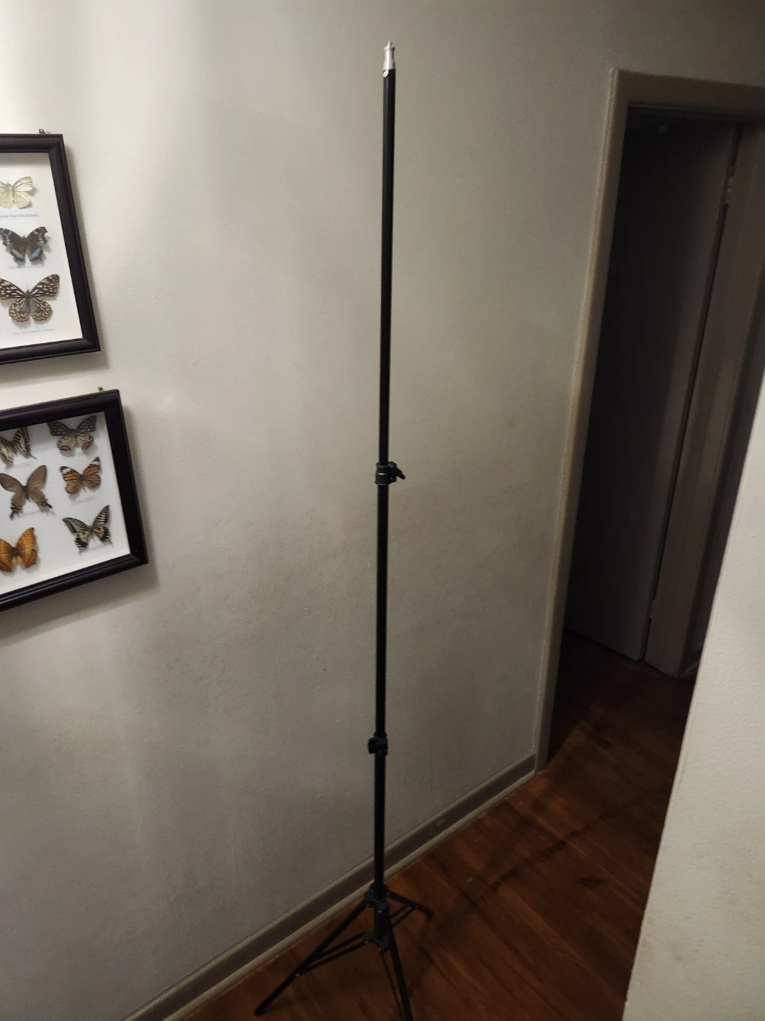 Very tall Adjustable Light Camera Tripod extend to 7 ft - photo 2