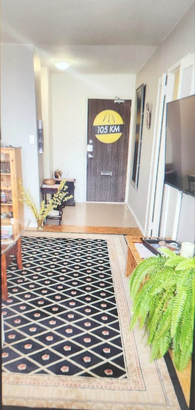 Carpet - wool - dry clean - photo 3